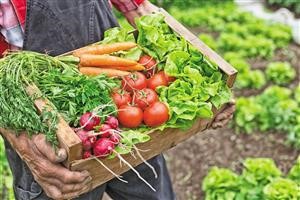 Ketogenic Diet Menu Indonesia